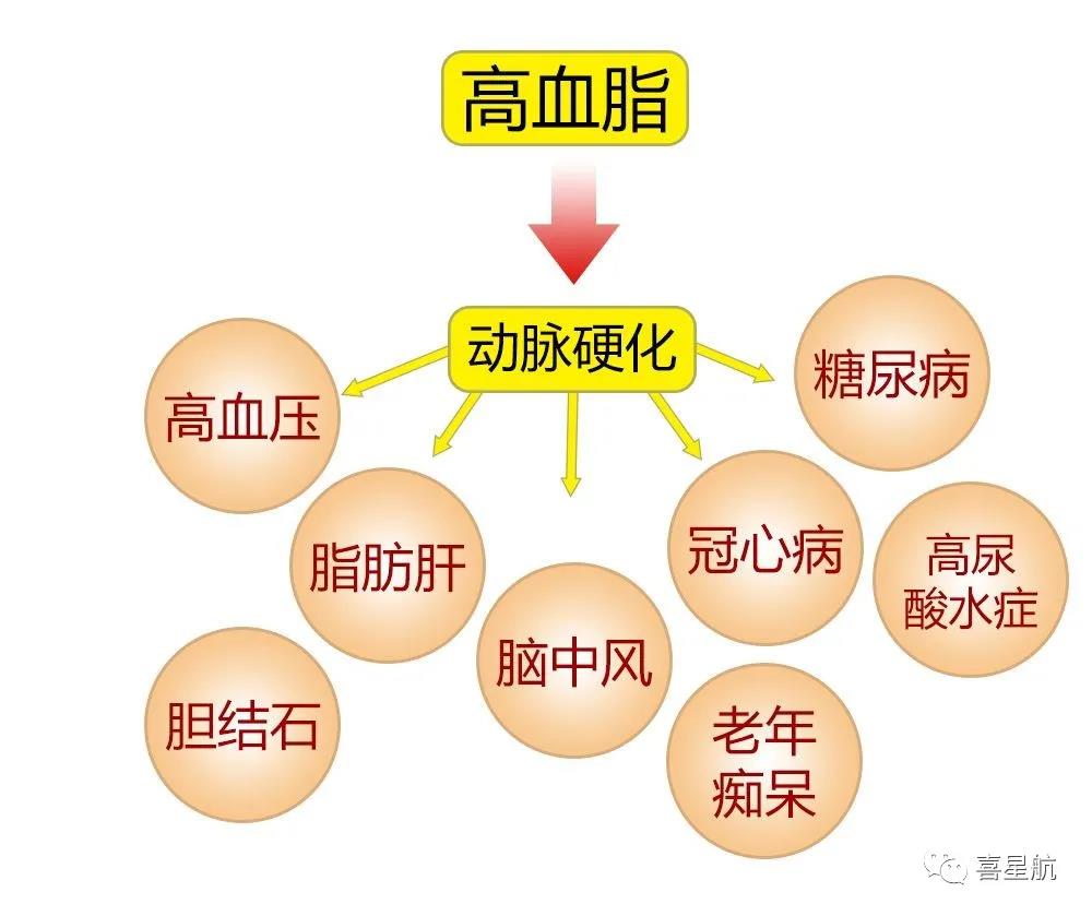 關(guān)于高血壓、糖尿病患者，9月1日起城鄉(xiāng)居民醫(yī)保門(mén)診用藥保(圖3)