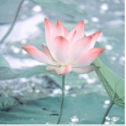 定了！今年居民醫(yī)保繳費(fèi)標(biāo)準(zhǔn)每人每年350元！